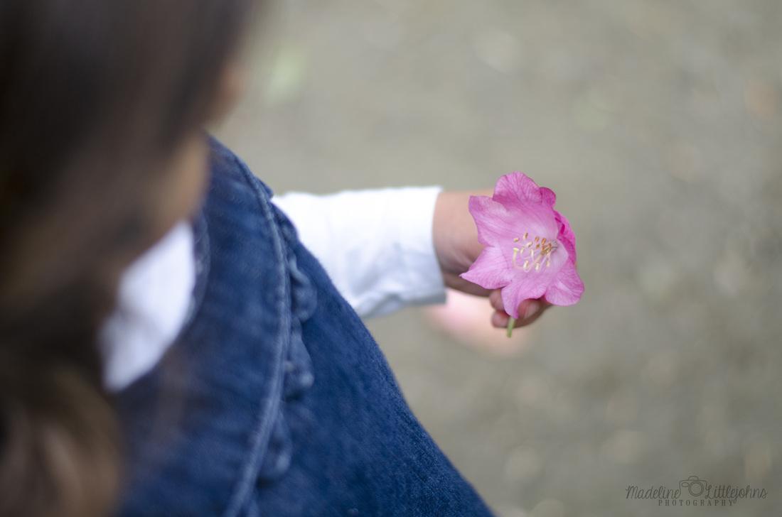 Beloved family portrait flower photo