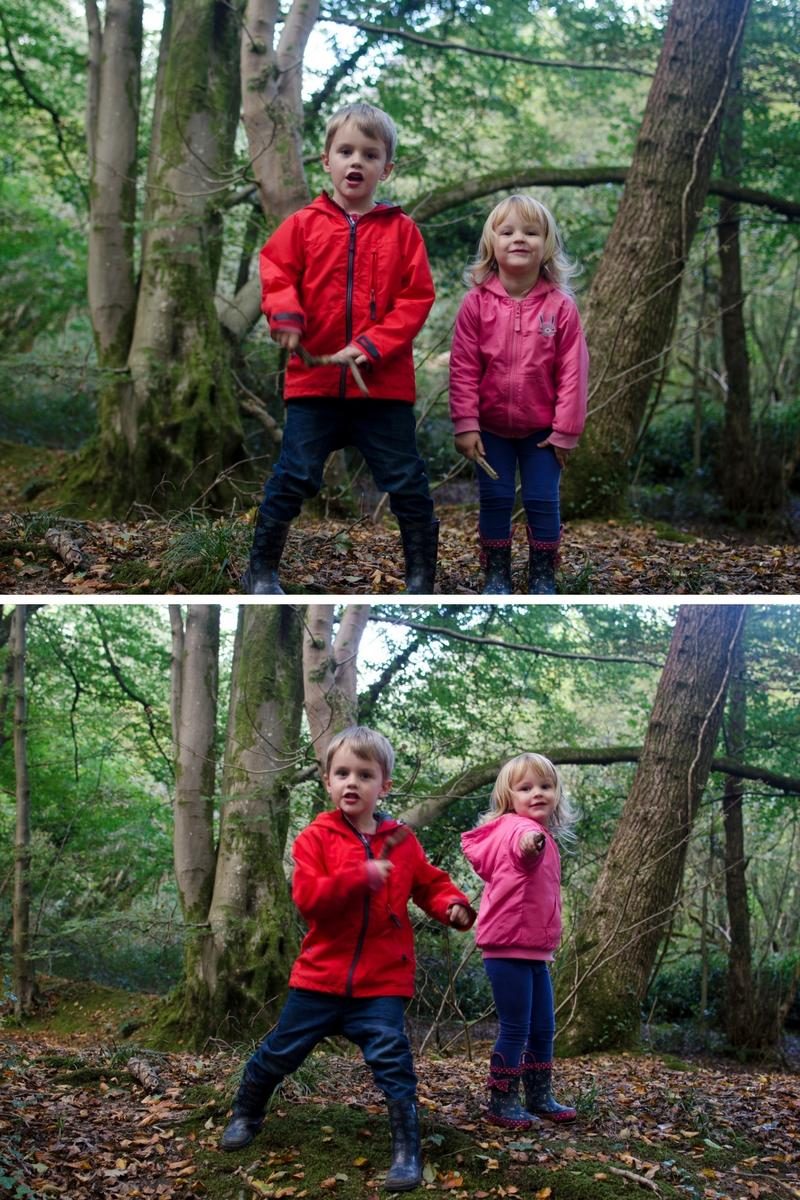 Clyne-woods