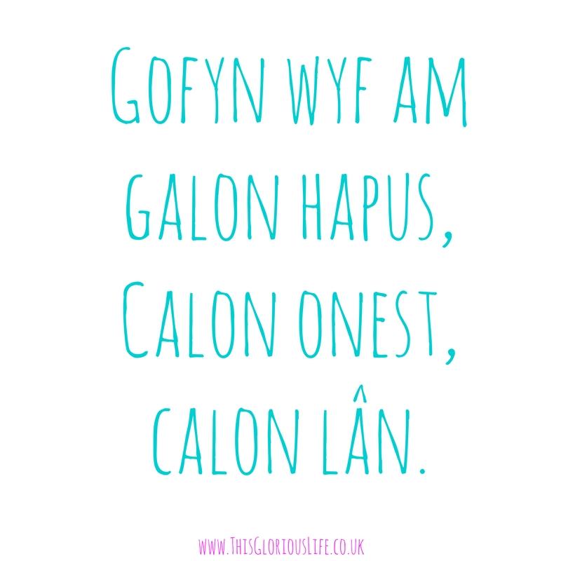 calon-onest-calon-lan