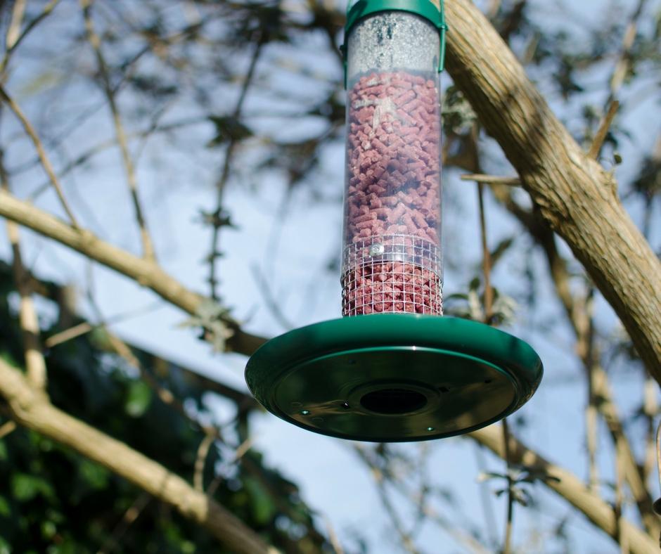 BritBits wild bird pellets in feeder tree ivel valley