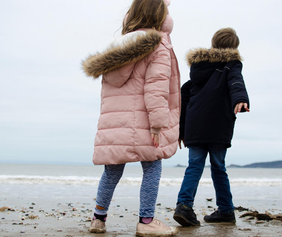 Siblings project Jan 2019