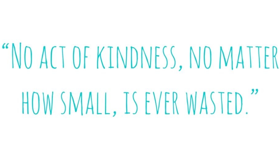 no-act-of-kindness-no-matter-how-small-quote