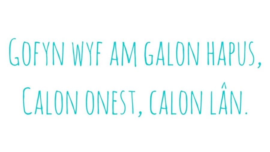 calon lan twitter