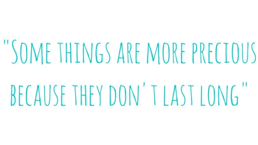 some things are more precious because they don't last long
