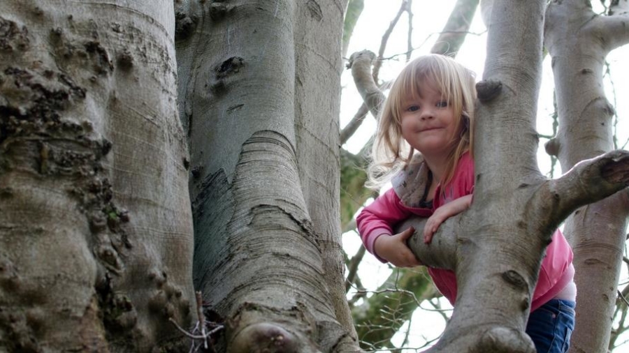 tears into smiles tree