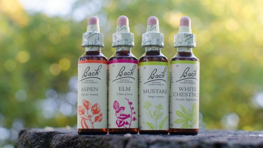 bach-original-flower-remedies-modern-look