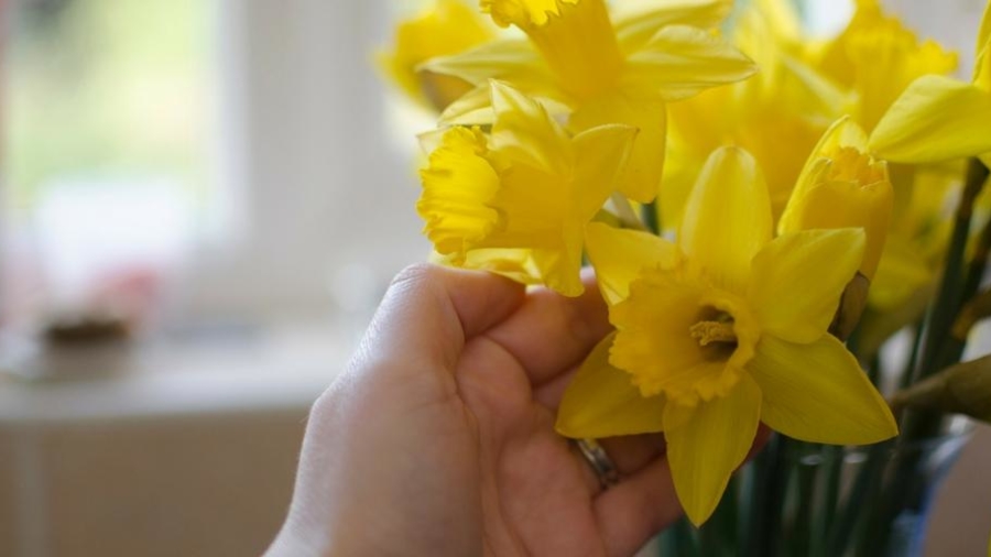 psychology of giving