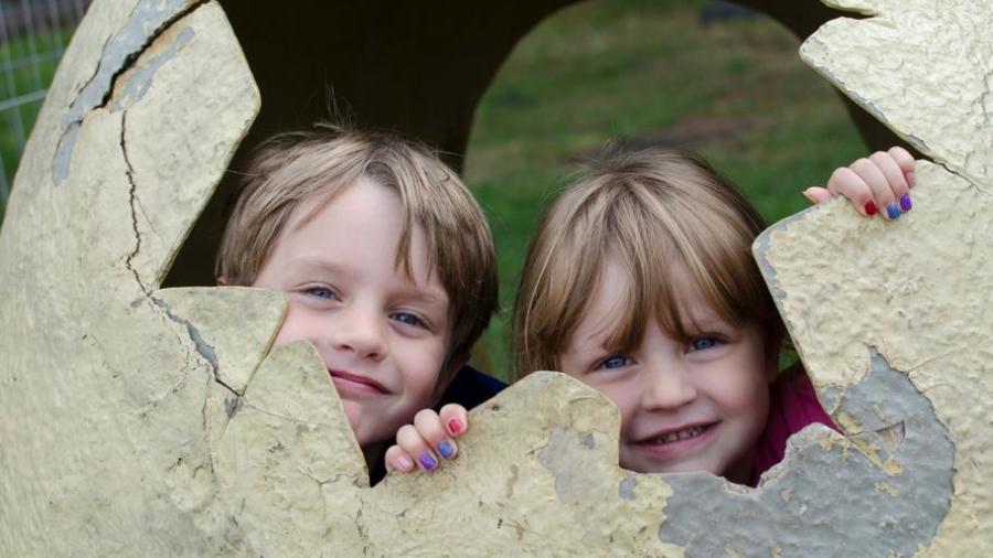 Siblings project August 2018