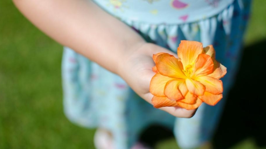 teach our children to be kind
