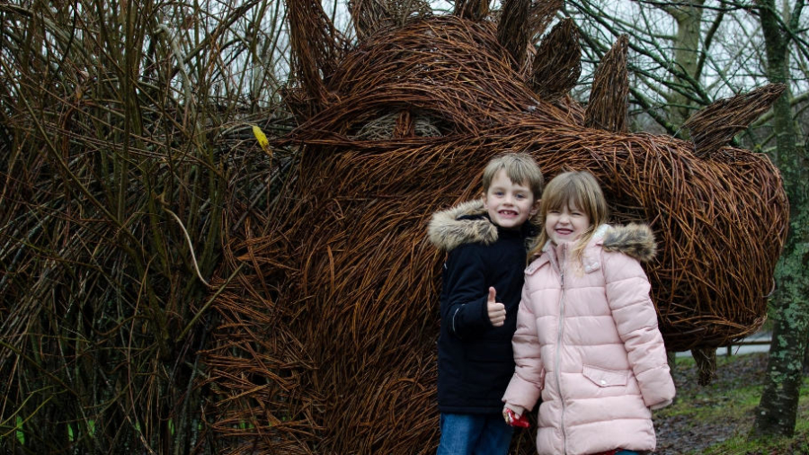Siblings project December