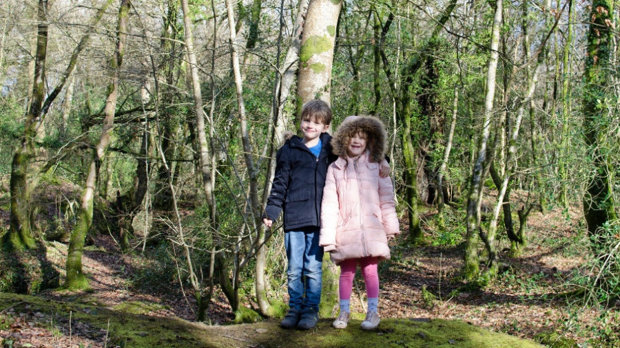 Siblings Feb 2019