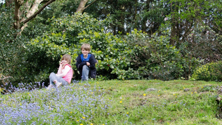 siblings 2019 april