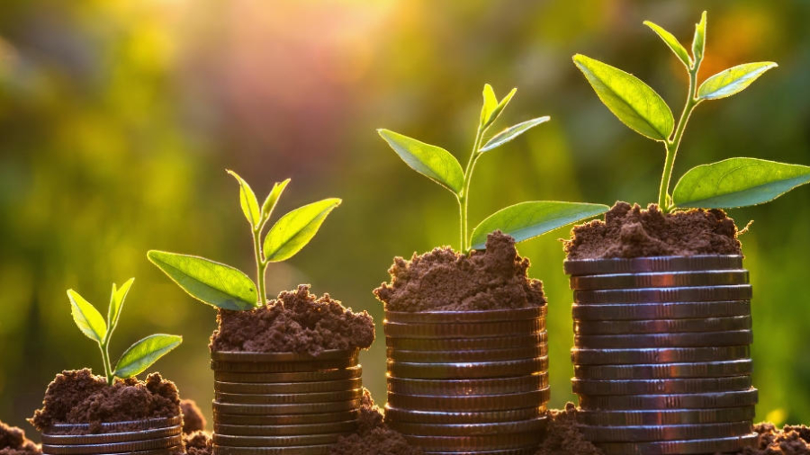 Saving for your family's future