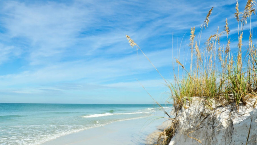 Getting the most out of a family holiday Florida