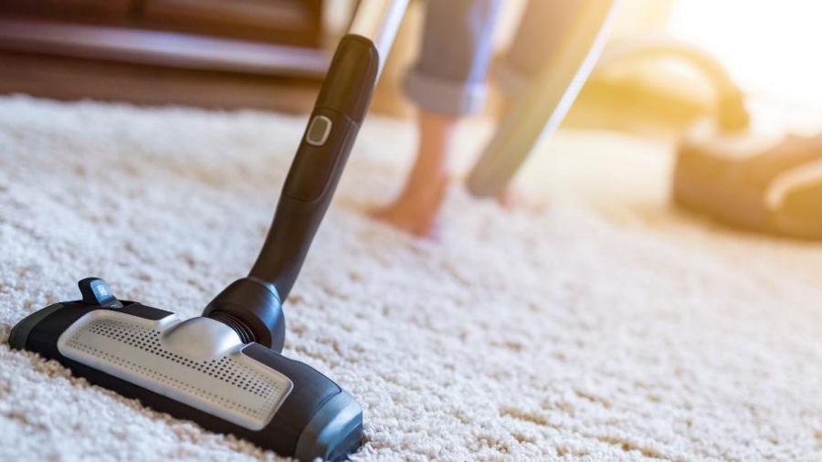 what to do about mould in your carpet