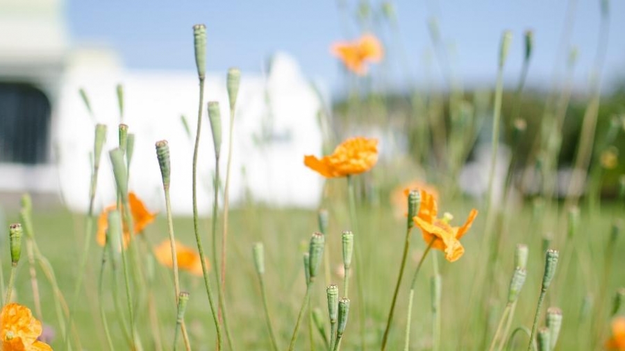 3 steps towards better self care