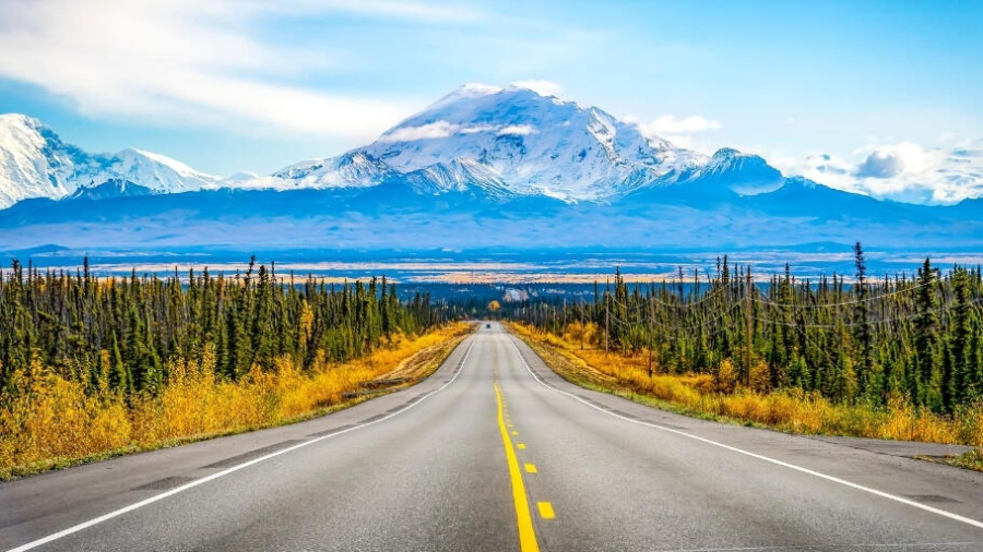 Ways to plan a road trip with kids