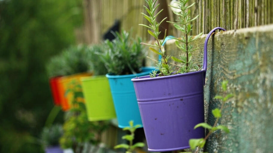 ways to make the most of the garden before autumn arrives