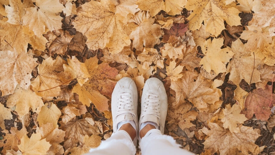 Fun ways to enjoy time outside this autumn