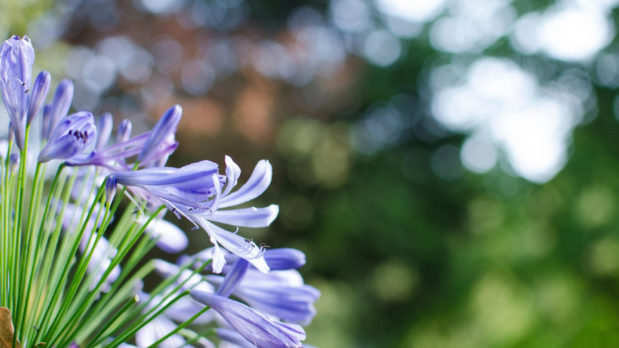 7 easy ways to make a difference