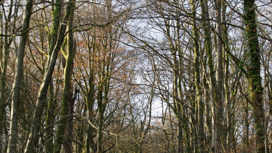 Look after your mental health this winter