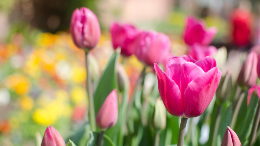 Ways to boost your mood