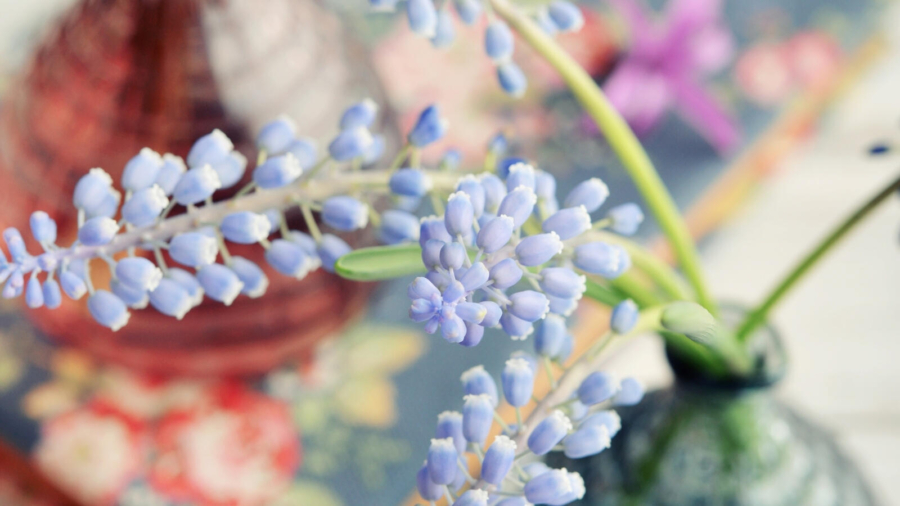 easy ways to freshen up your home for spring