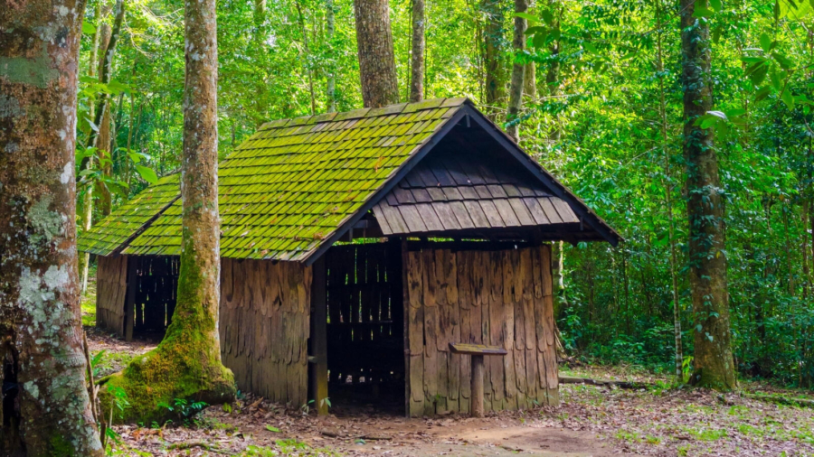 Benefits of forest school for children