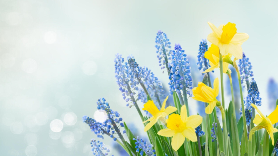 Ideas for luxury gifts and glorious times for the family this spring