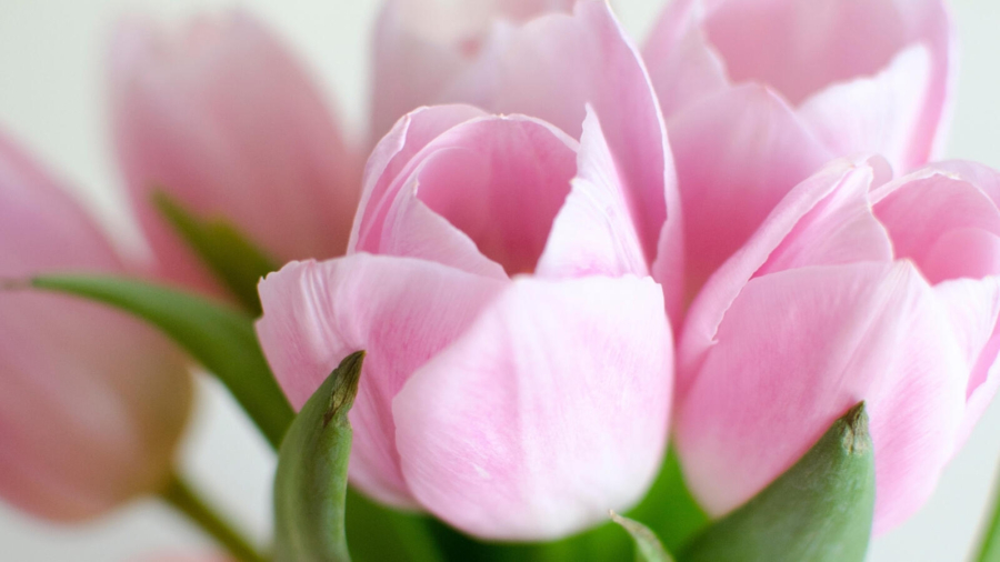 How to explore gratitude with your child