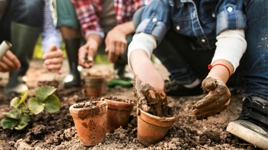 How gardening affect child development