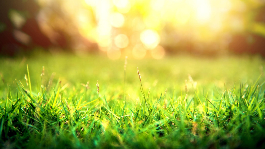 grounding exercises to calm anxious children