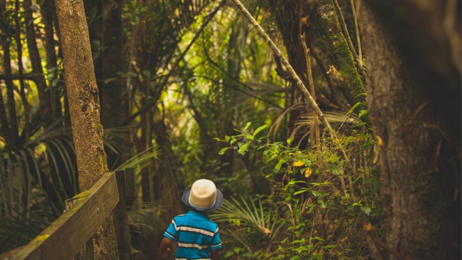 How raise an inquisitive child