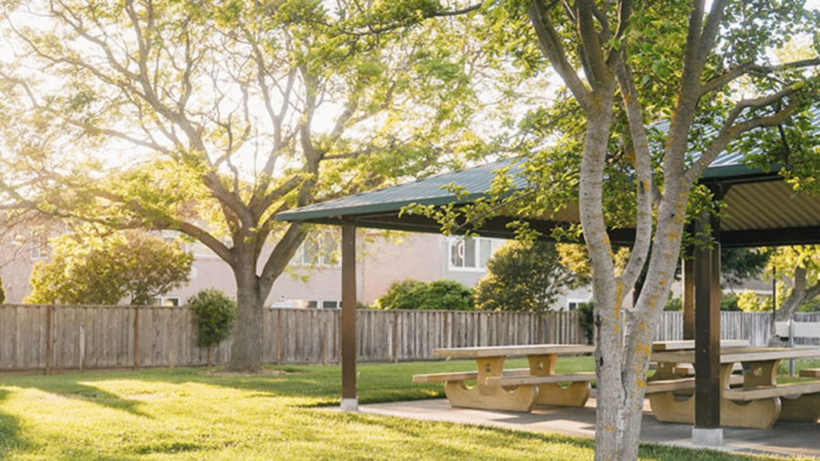 make your garden more private