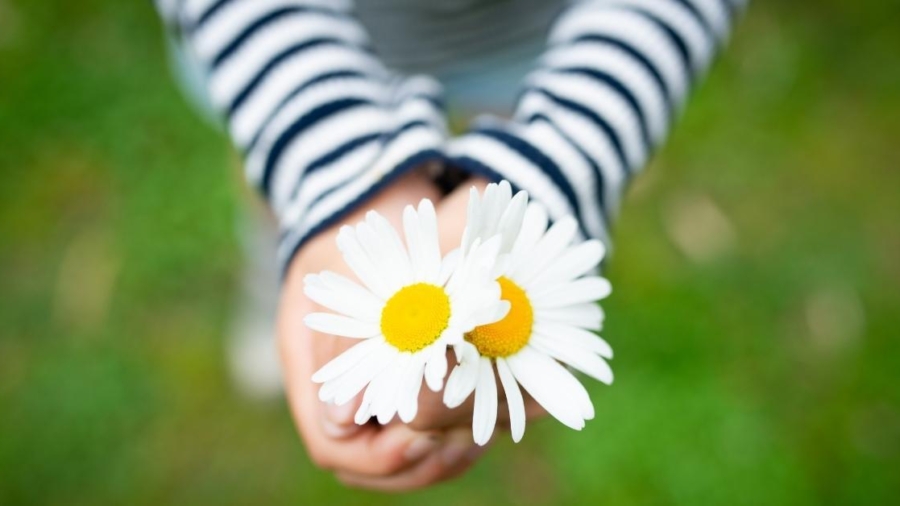 How to raise a more compassionate child