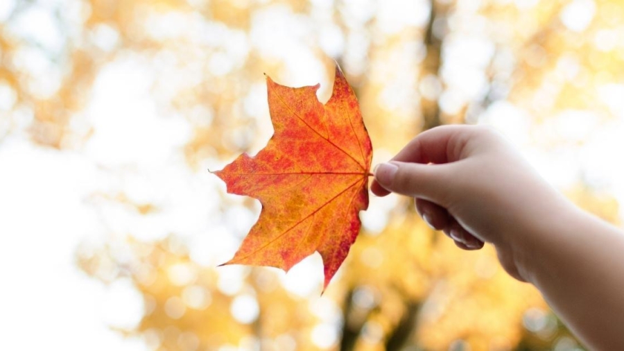 Autumn family photography bucket list