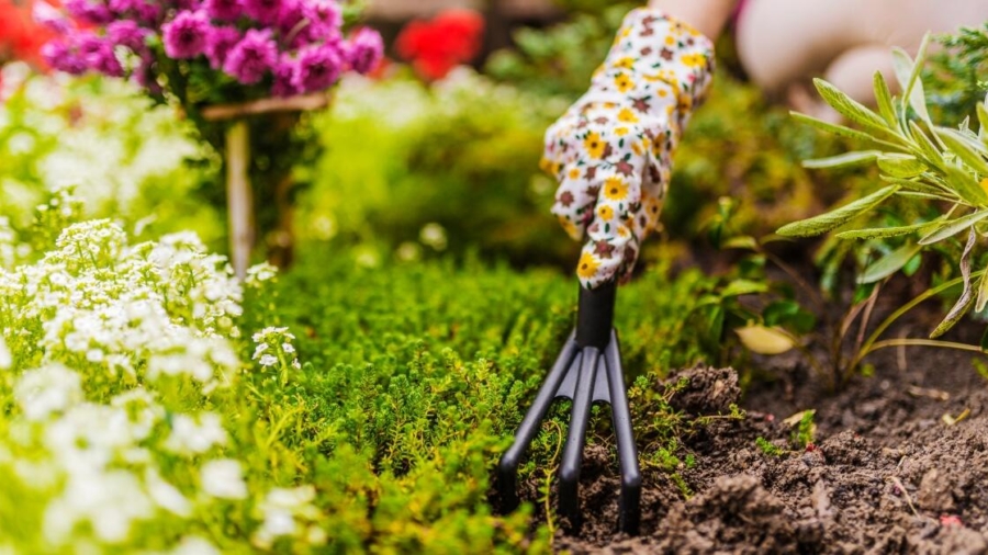 5 ways to spruce up your garden for spring