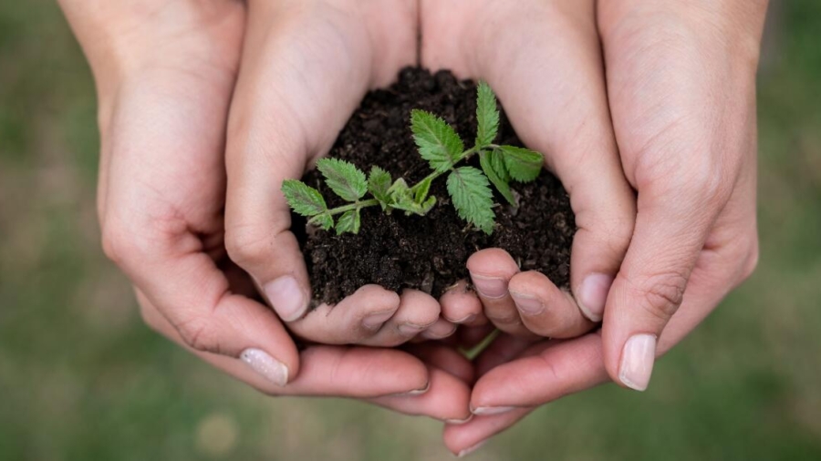 How to raise an environmentally conscious child