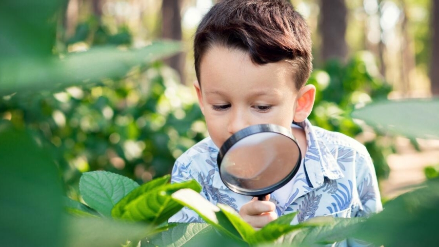 The importance of outdoor learning for children