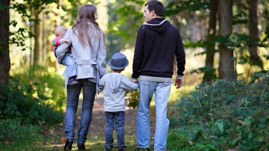 The many paths to parenthood