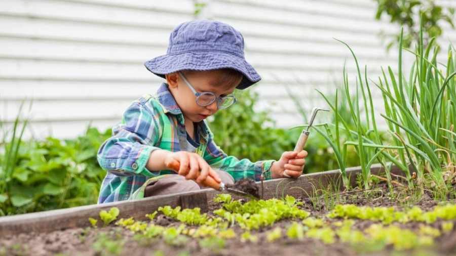 How to raise a hardworking child