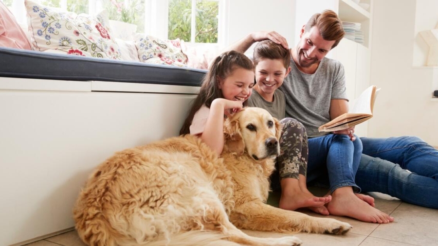 5 tips to make your home better suited to family life