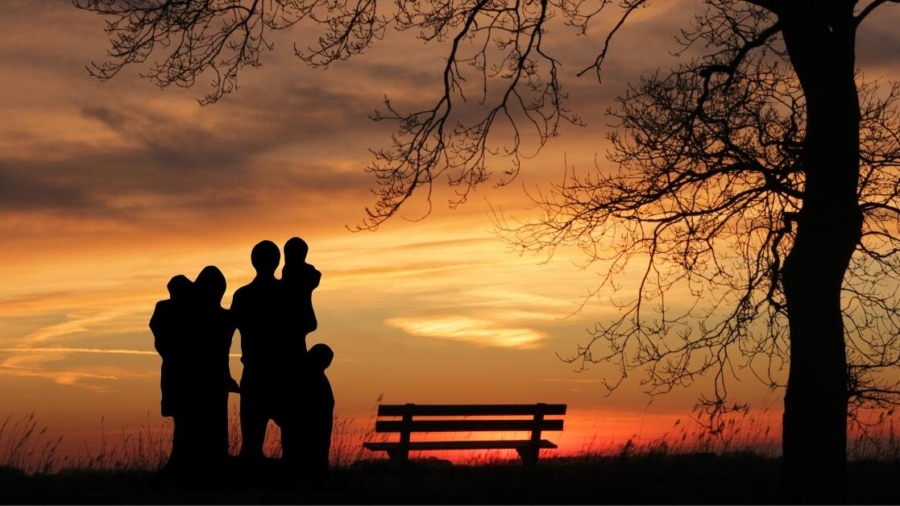 How to cope with legal problems in a family