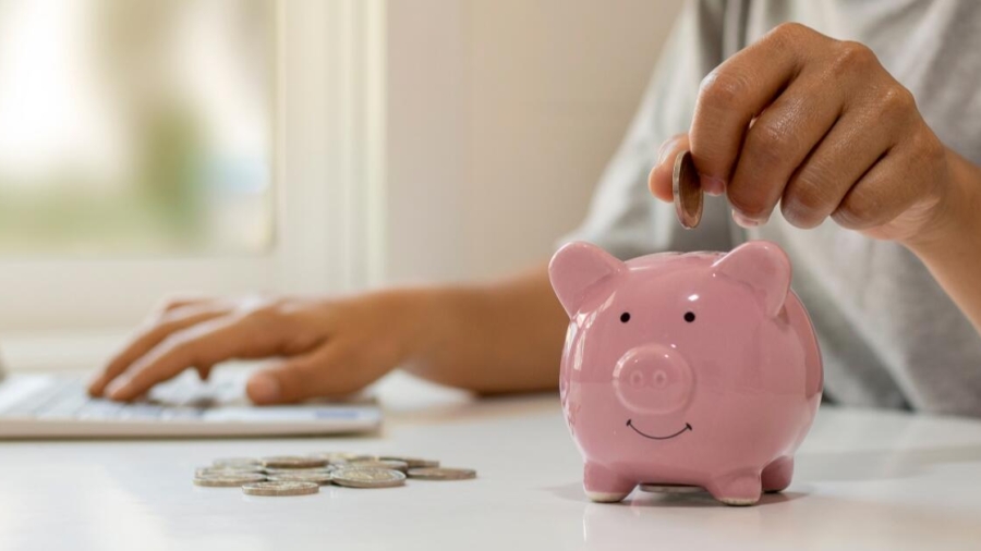 MoneyPlus savings plan