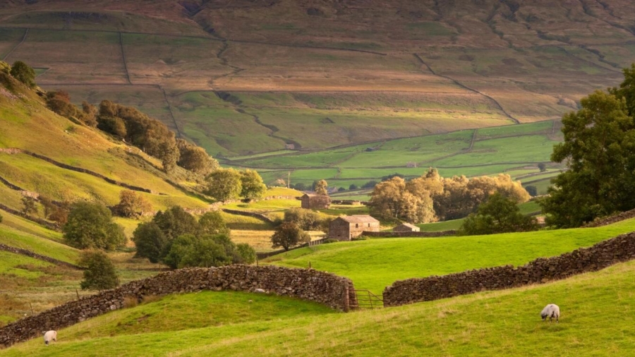 The Best of Yorkshire