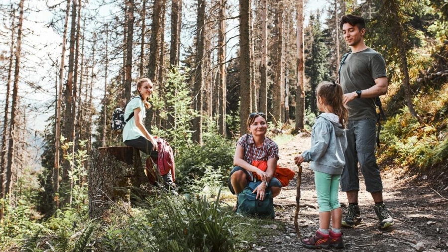 family activities