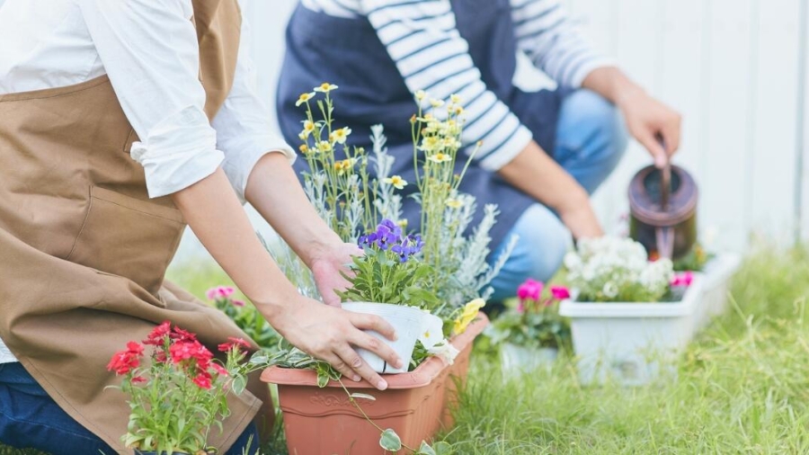 Benefits of Dedicating Time to Your Favourite Hobbies